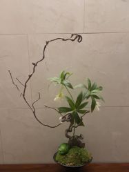 -半岛故事·法儿曼抗衰·indiba中心