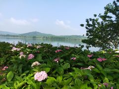 -石湖景区