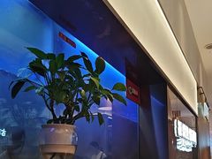 -老板恋上鱼(印象城店)