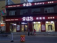 iphone_upload_pic-幸福鸟动物奶油生日蛋糕(巨鹿店)