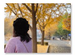 -三里屯东五街银杏大道