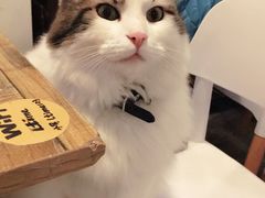 -小时光咖啡馆(北锣鼓巷店)