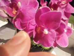 -三利音·浦之舟(滨江大道店)