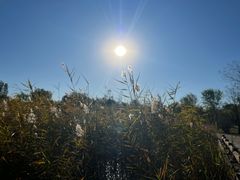 -东郊湿地公园