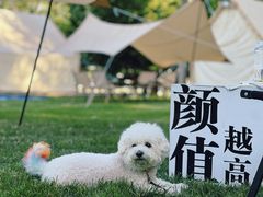 -意大利农场度假村