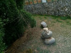 -泉州海丝野生动物世界