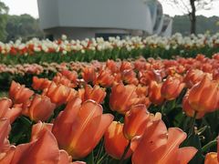 -上海鲜花港