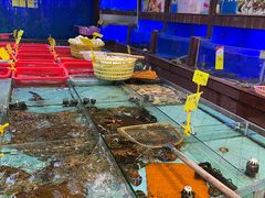 水产区-明香海鲜酒家(华强北店)