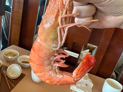 -秦皇国际大酒店·自助餐