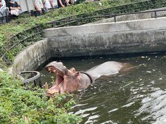 -合肥野生动物园