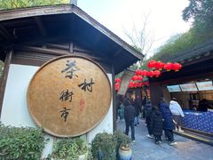 -天目湖山水园