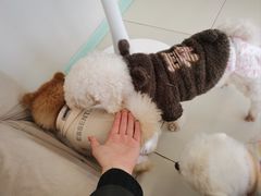 -怪兽屋·羊驼·猫咖·狗咖(俊华广场店)