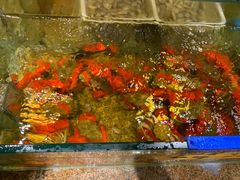 -百味馆·粤菜·湛江菜(后海花园店)