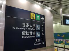 -香港大学