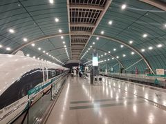 -龙阳路磁悬浮列车总站-停车场