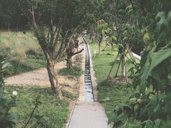 -北仑森林植物园