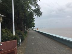 -瀛洲公园