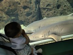 -福州罗源湾海洋世界旅游区