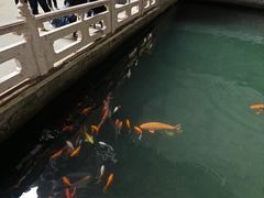-长屿硐天八仙岩景区