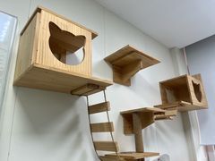 -美联众合动物医院·24h京西诊疗中心