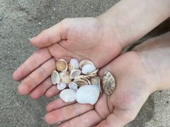 -海沧湾公园