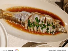 -金美华轩(东方路齐鲁店)
