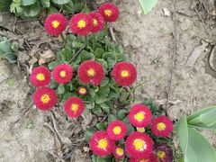 -杭州师范大学(下沙校区)