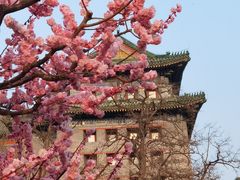 -北京明城墙遗址公园