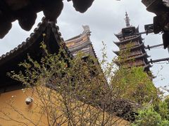 -常熟方塔园