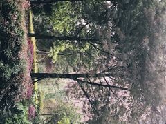 -上置·绿洲雅宾利花园