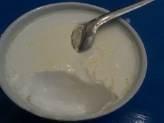 -德禄酸奶(莫家街店)