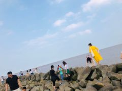 -南汇嘴观海公园