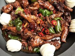-食家鸽园
