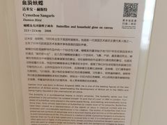 -上海宝龙美术馆