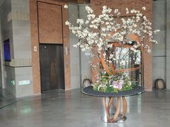 -浅深Cheersum(曹杨店)
