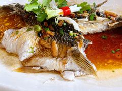 -大门水乡·顺德菜