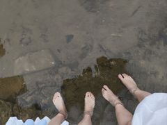 -光明小镇欢乐田园