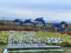 -大梅沙海滨公园