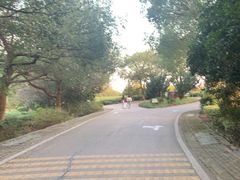 -南京市江宁方山