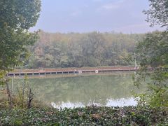 -云岗森林公园