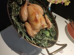 -Oyster Talks 四度蚝法餐厅