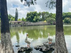 -东莞市可园博物馆