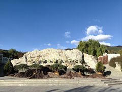 -北京西山国家森林公园