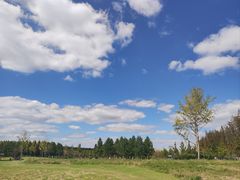 -黄海国家森林公园