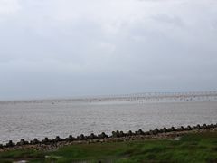 -南汇嘴观海公园