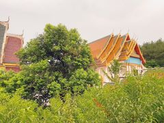 -报恩禅寺