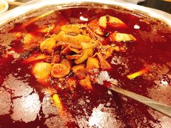 火锅兔-冯记香辣兔火锅(茶店子总店)