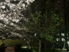 -复旦大学-校史馆