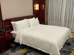 -上海圣淘沙万怡酒店