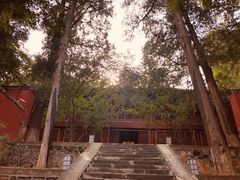 -阳台山自然风景区